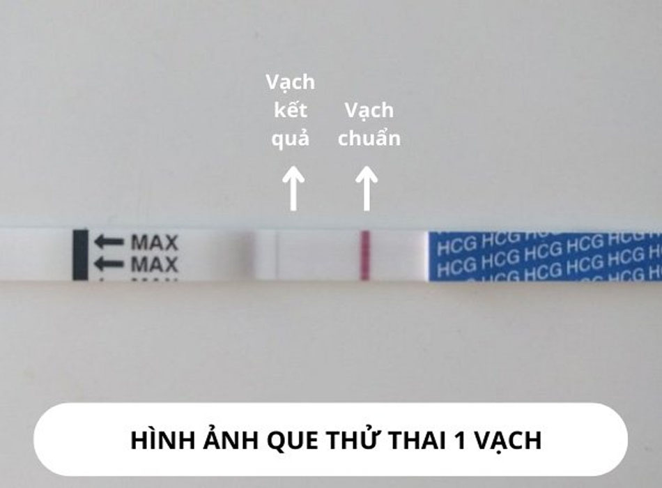 Que thử thai hiện 1 vạch
